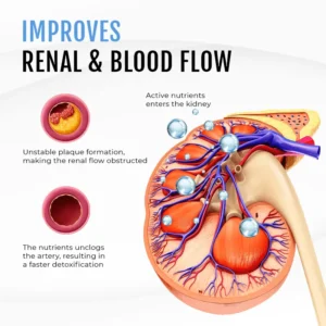 Biancat™ RenalBoost Kidney Care Inhaler