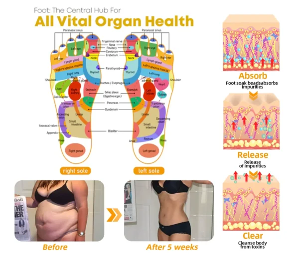 AAFQ 𝟑𝟎-𝐇𝐞𝐫𝐛 𝐒𝐥𝐢𝐦𝐦𝐢𝐧𝐠 & 𝐃𝐞𝐭𝐨𝐱 𝐅𝐨𝐨𝐭 𝐁𝐚𝐭𝐡 𝐁𝐞𝐚𝐝𝐬