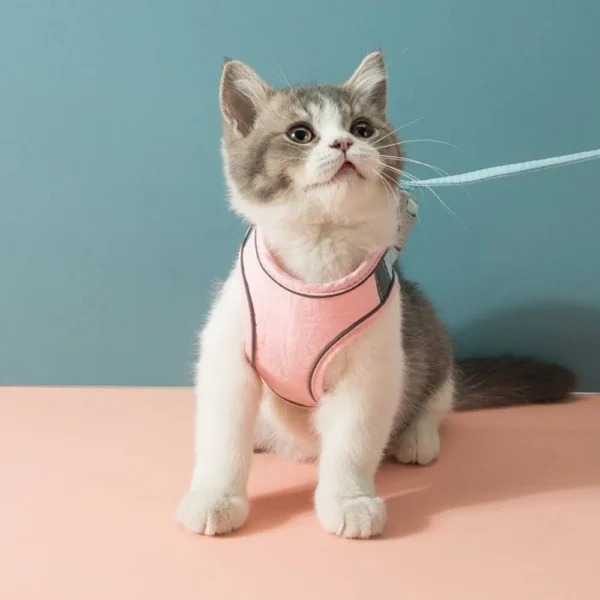 FurryLead™ Cat Harness And Leash Set