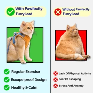 FurryLead™ Cat Harness And Leash Set